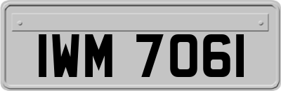 IWM7061