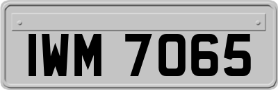 IWM7065