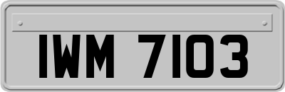 IWM7103