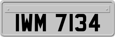 IWM7134