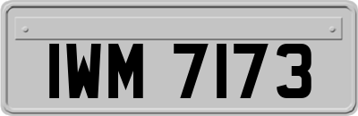IWM7173