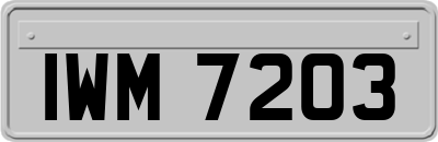 IWM7203