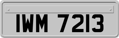 IWM7213