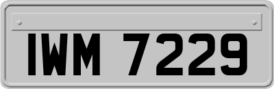 IWM7229