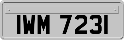 IWM7231