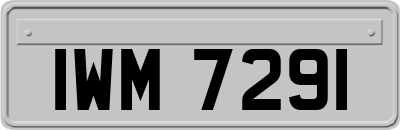 IWM7291