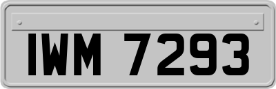 IWM7293