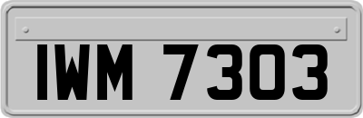 IWM7303