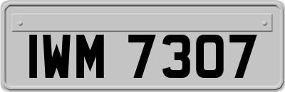 IWM7307
