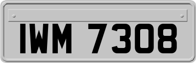 IWM7308