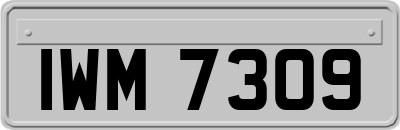 IWM7309