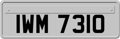 IWM7310