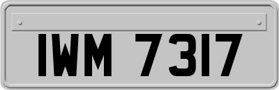 IWM7317