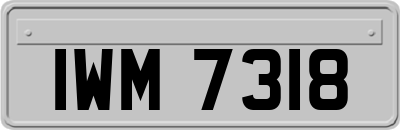 IWM7318
