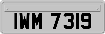 IWM7319