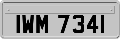 IWM7341