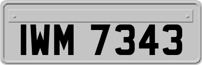 IWM7343