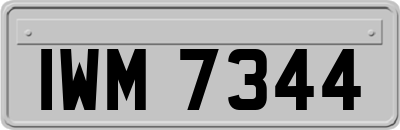 IWM7344