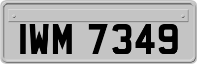 IWM7349