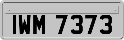 IWM7373