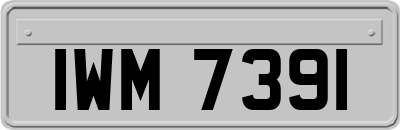 IWM7391