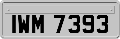 IWM7393