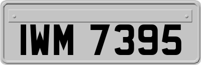 IWM7395