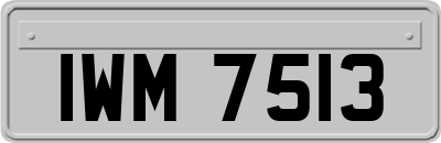 IWM7513