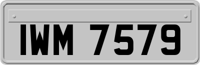 IWM7579
