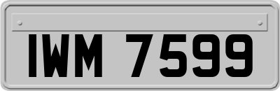 IWM7599