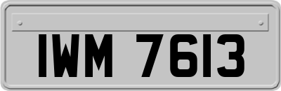 IWM7613