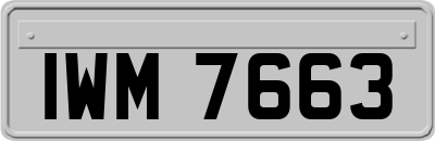 IWM7663