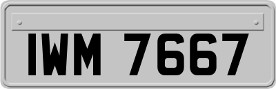 IWM7667