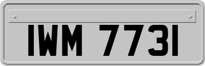 IWM7731