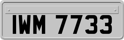 IWM7733