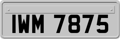 IWM7875
