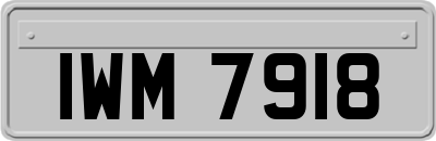 IWM7918