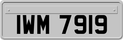IWM7919