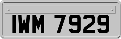 IWM7929