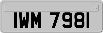 IWM7981