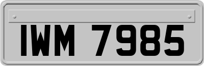 IWM7985