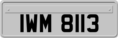 IWM8113