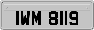 IWM8119