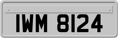 IWM8124