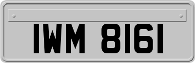 IWM8161