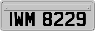 IWM8229