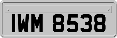 IWM8538