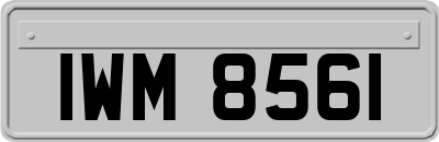 IWM8561
