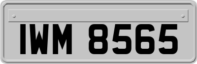 IWM8565