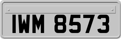 IWM8573